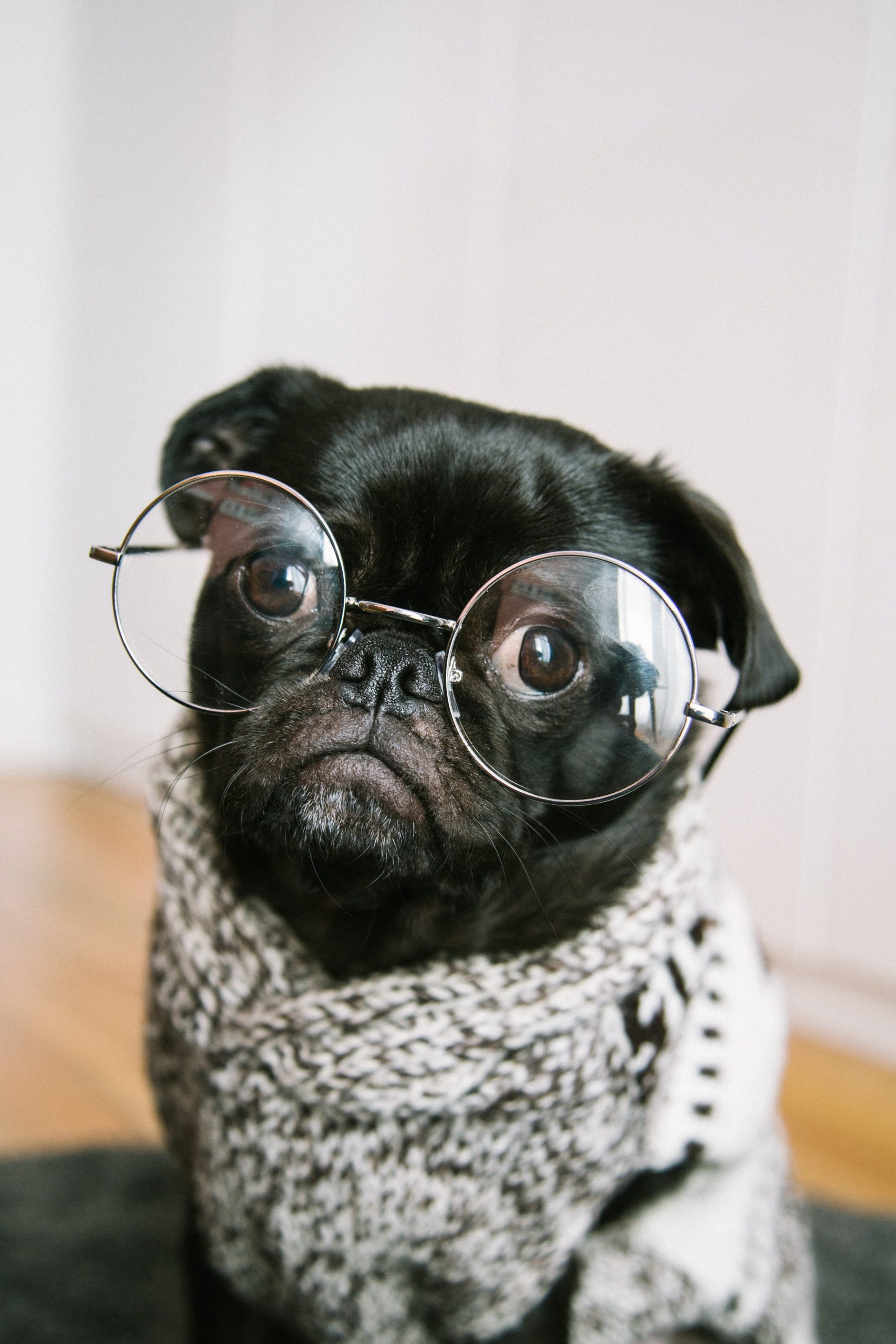 charles-deluvio-pOUA8Xay514-unsplash (1)